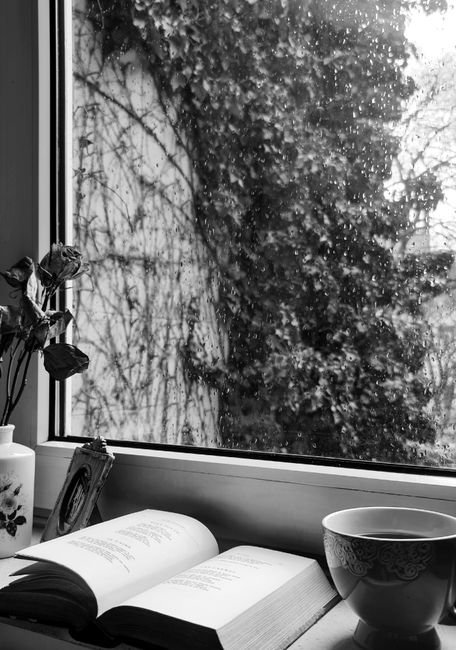 A cup of tea, an open book, and flowers arranged quietly on a windowsill