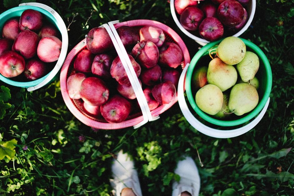 Holiday Fruit Baskets: A Straightforward Guide