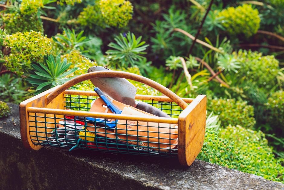 Best Gifts For Gardeners: Fresh Ideas For Every Budget